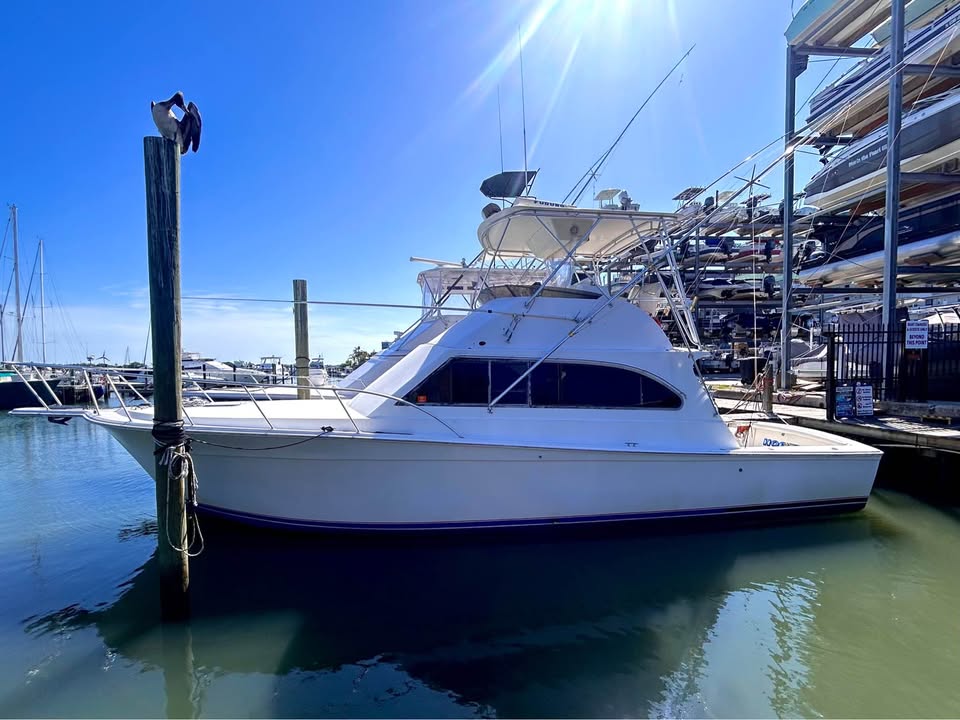 Egg Harbor Golden Egg “Hog Tide” Sportfisher