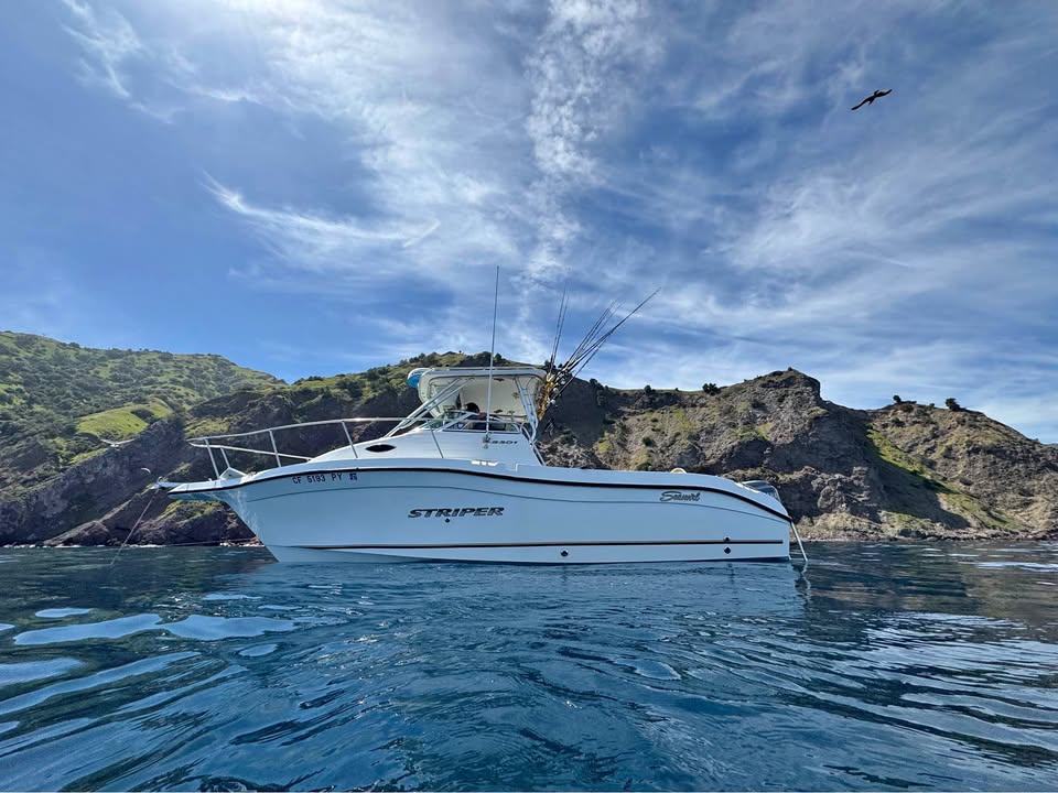 Seaswirl striper 2301 wa