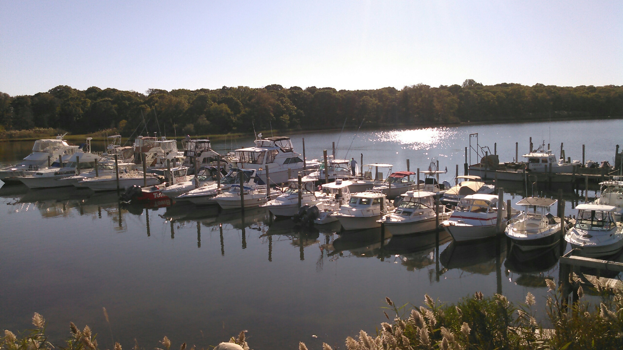 Moriches Bay Marina