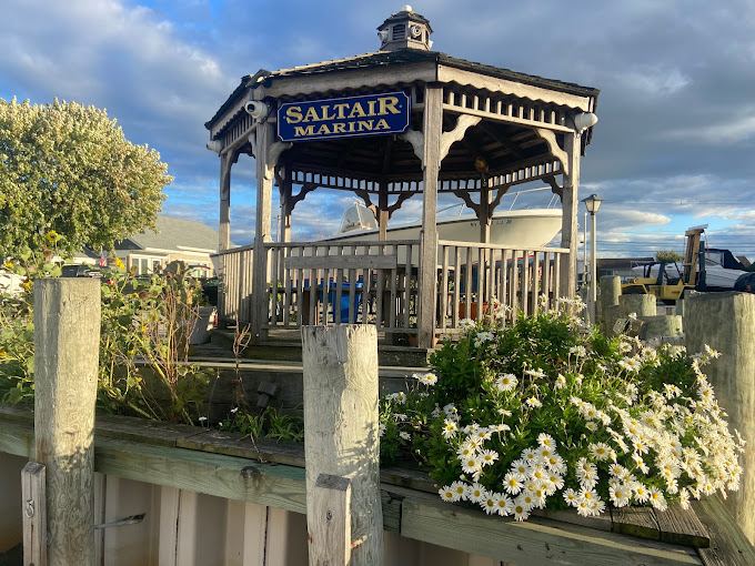 Saltair Marina